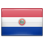 flag of Paraguay